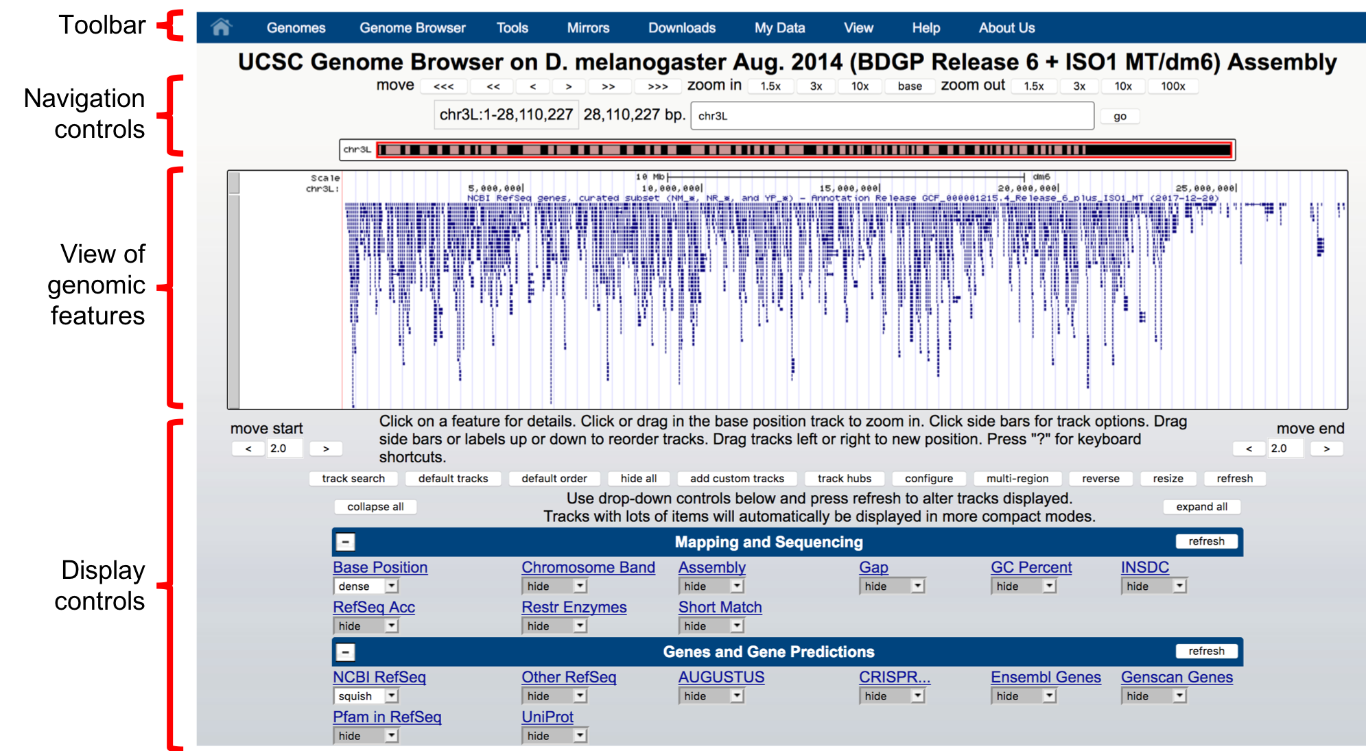 Major setions of the Genome Browser