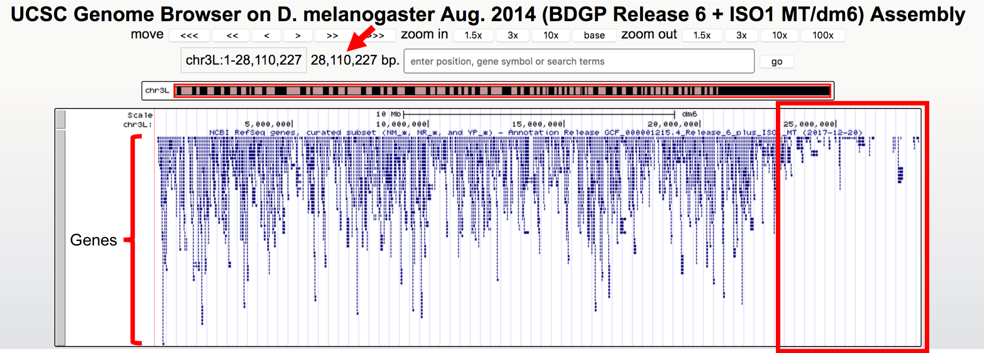 Genome Browser view of D. melanogaster chr3L